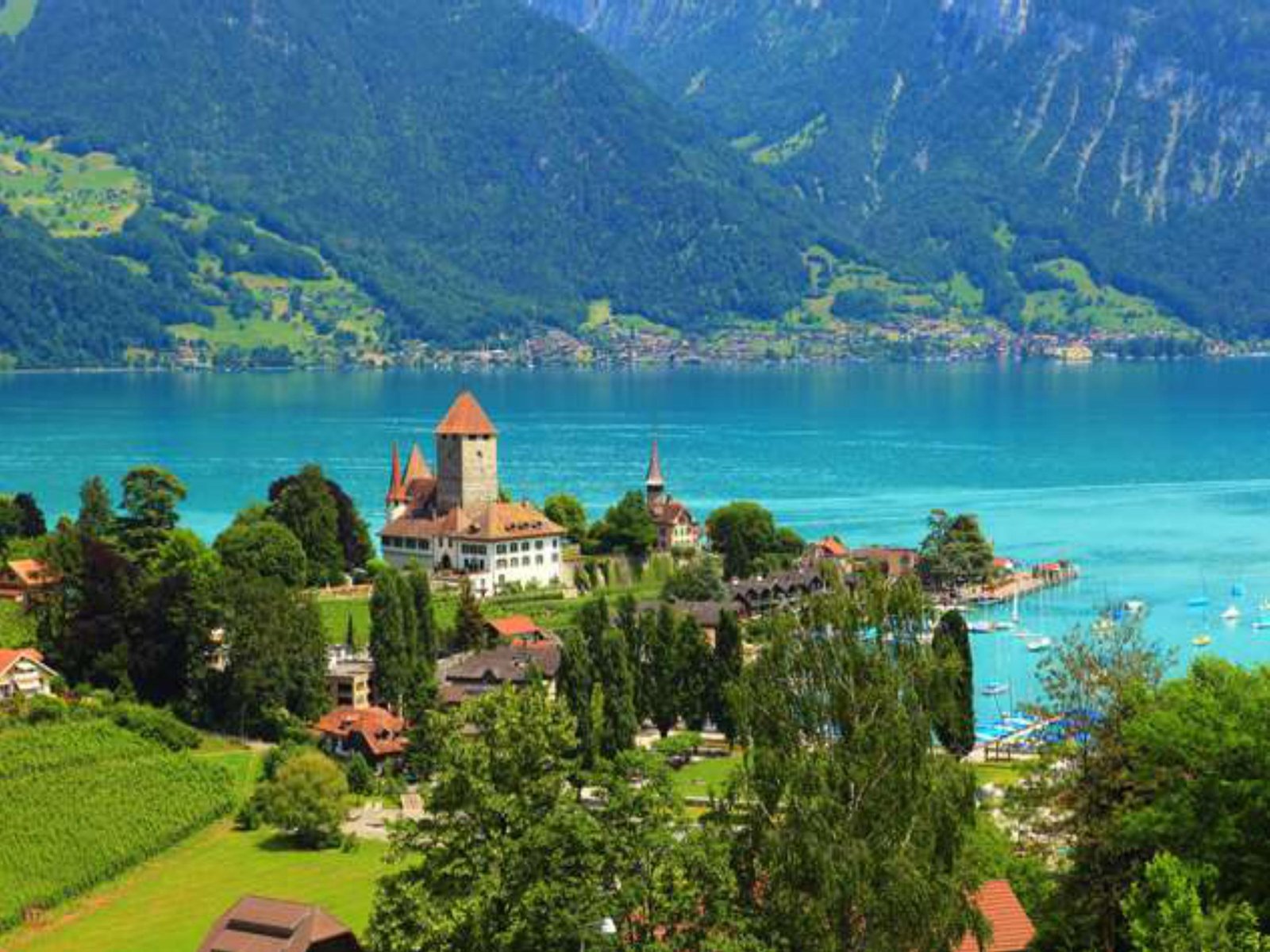 Settle in switzerland